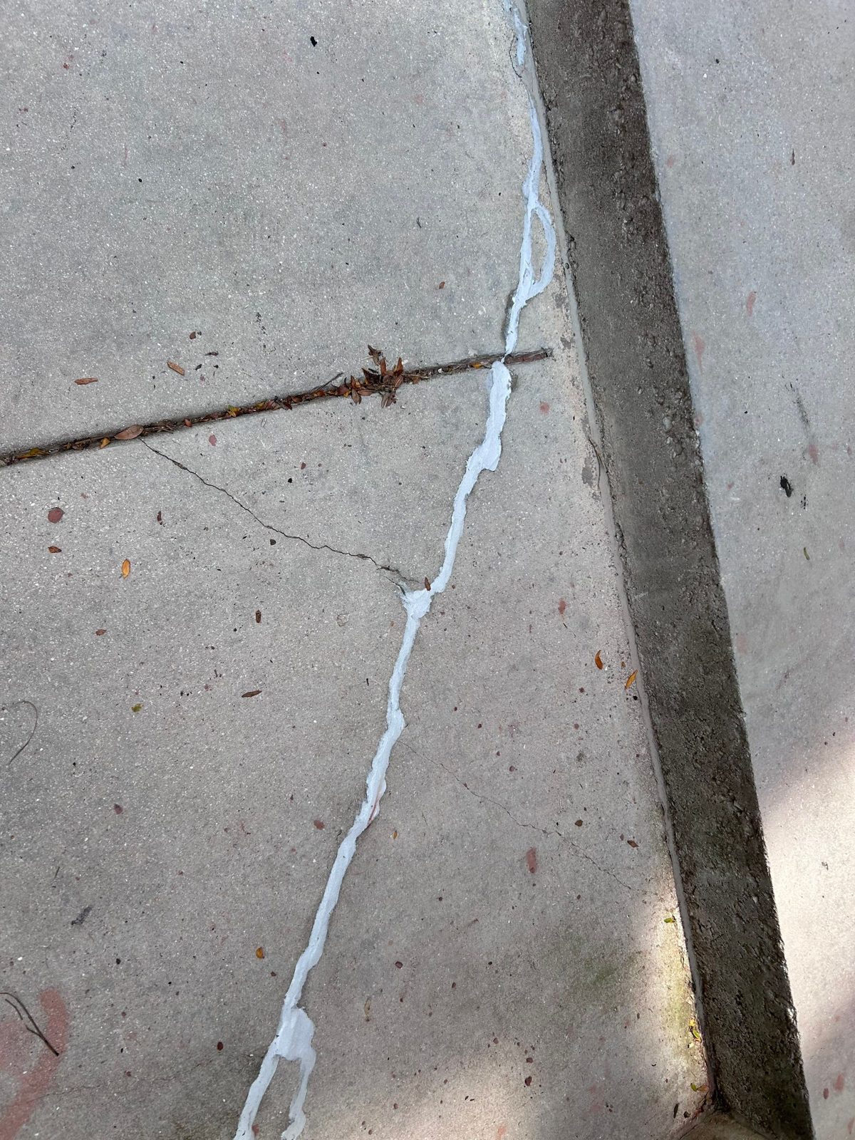 Concrete sidewalk crack repaired with white sealant fill.